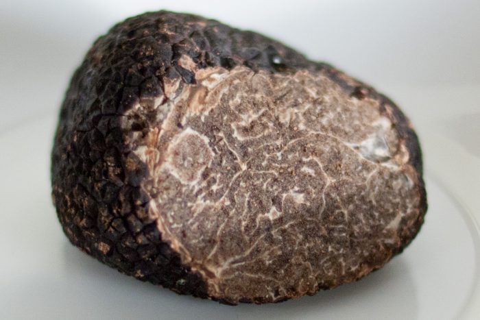 Truffe noire zoom