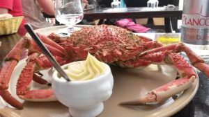 araignée de mer