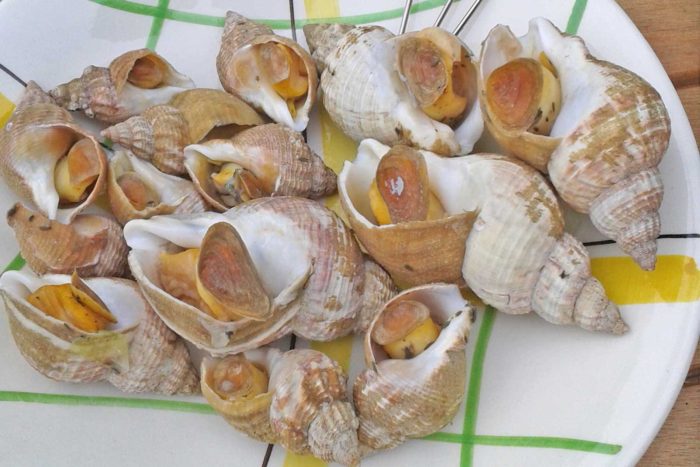 assiette de bulots
